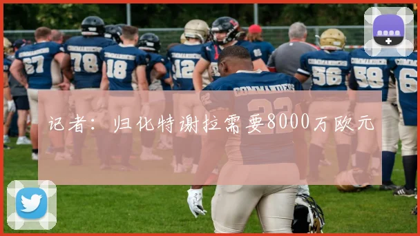 记者：归化特谢拉需要8000万欧元