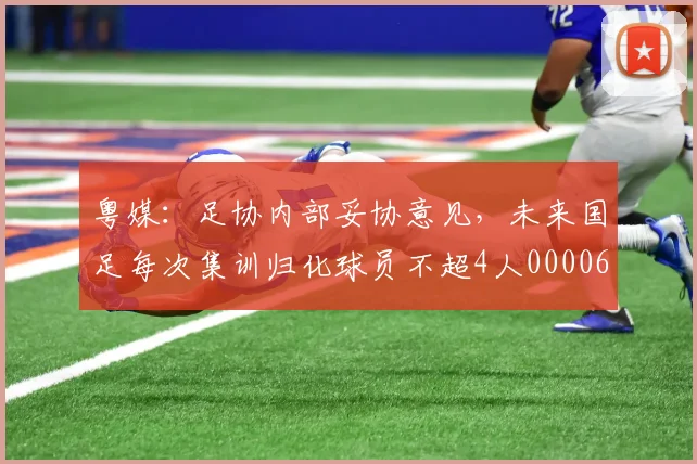 粤媒：足协内部妥协意见，未来国足每次集训归化球员不超4人0000644