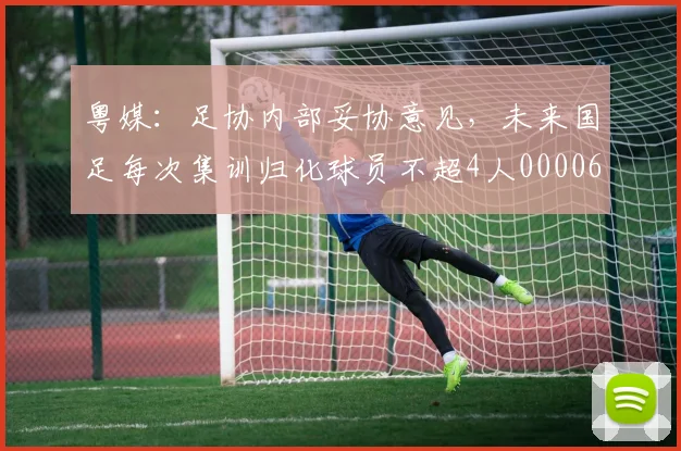 粤媒：足协内部妥协意见，未来国足每次集训归化球员不超4人0000644