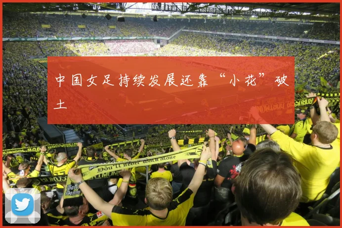 中国女足持续发展还靠“小花”破土
