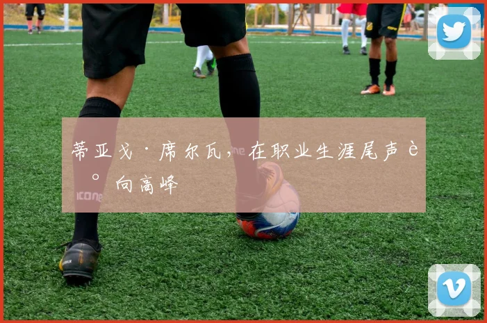 蒂亚戈·席尔瓦，在职业生涯尾声走向高峰
